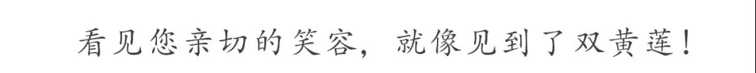 ���������죺�����ѵ�ͷ��������ƨ�����������
